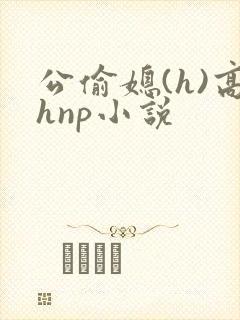 公偷媳(h)高hnp小说