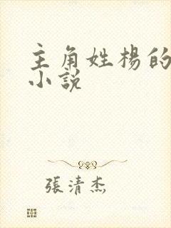 主角姓杨的都市小说