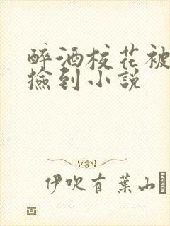 醉酒校花被乞丐捡到小说