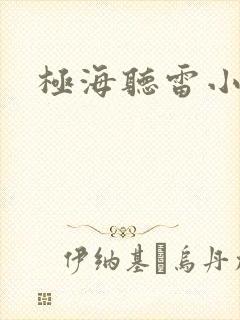 极海听雷小说封面