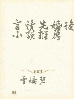 言情先婚后爱的小说推荐封面