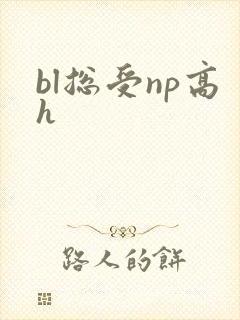 bl总受np高h封面
