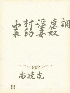 山村淫虐调教买来的妻奴封面