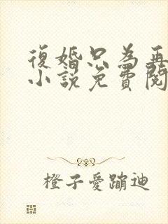 复婚只为再上我小说免费阅读