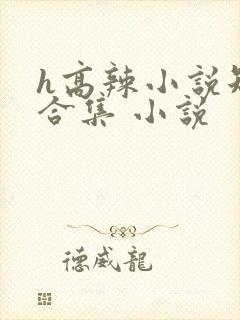 h高辣小说短文合集 小说
