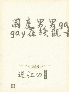 国产男男gaygay在线观看