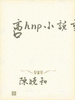 高hnp小说重口