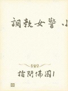调教女警 小说封面