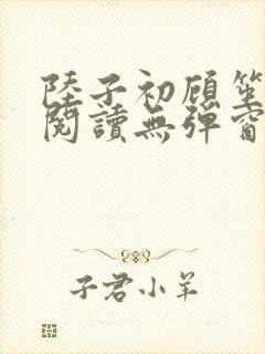 陆子初顾笙免费阅读无弹窗笔趣阁封面