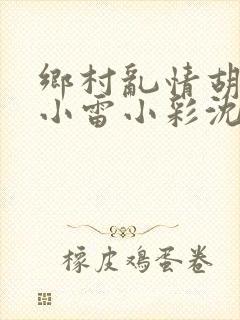 乡村乱情胡秀英小雷小彩沈白雪封面