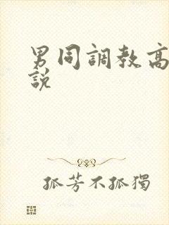 男同调教高h小说