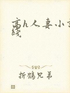 高h人妻小说在线封面