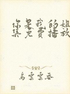 你是我的姐妹全集免费播放电视剧