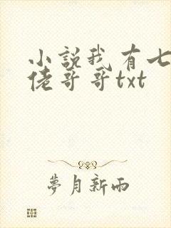 小说我有七个大佬哥哥txt