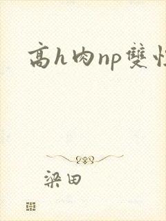高h肉np双性
