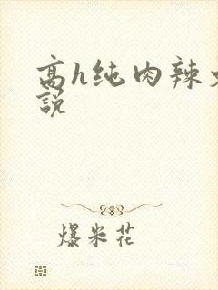 高h纯肉辣文小说