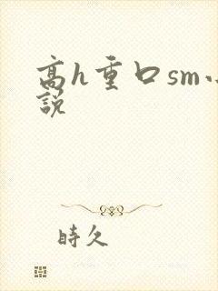 高h重口sm小说封面