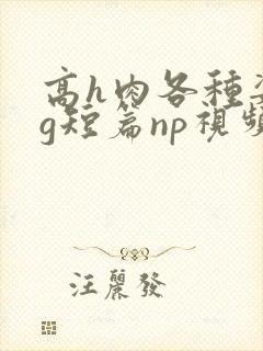 高h肉各种姿势g短篇np视频