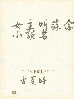 女主叫苏念卿的小说名封面
