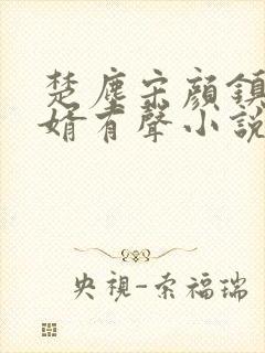 楚尘宋颜镇国神婿有声小说