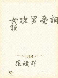 女攻男受调教小说