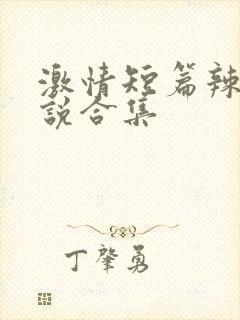 激情短篇辣文小说合集