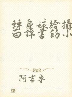 转身嫁给摄政王白锦书的小说