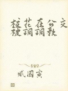 校花在公交车上被调调教