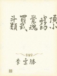 斗罗觉醒顶级剑类武魂的小说