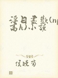 淫日尽欢(np高h)小说