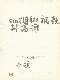 sm捆绑调教强制高潮