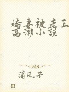 娇妻被老王脔到高潮小说