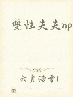 双性夫夫np
