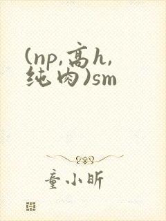 (np,高h,纯肉)sm