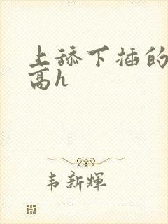 上舔下插的小说高h