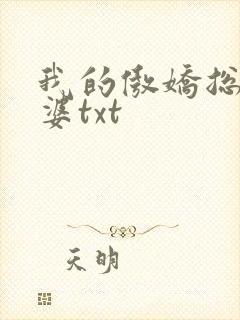 我的傲娇总裁老婆txt