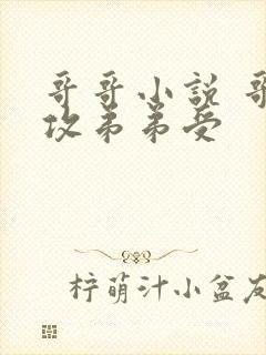 哥哥小说 哥哥攻弟弟受