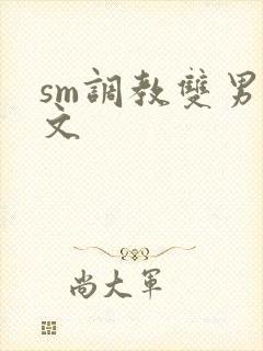 sm调教双男主文