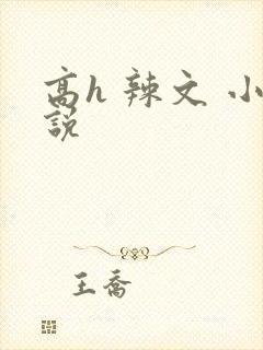 高h 辣文 小说封面