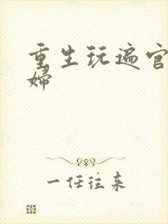 重生玩遍官场贵妇