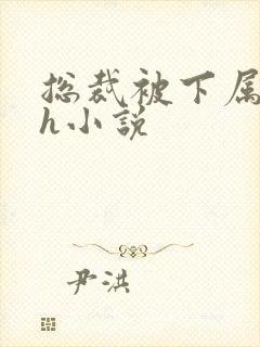 总裁被下属调教h小说