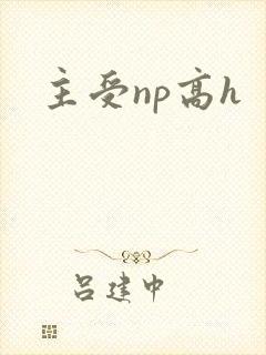 主受np高h封面