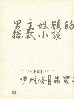 男主姓顾的现代总裁小说