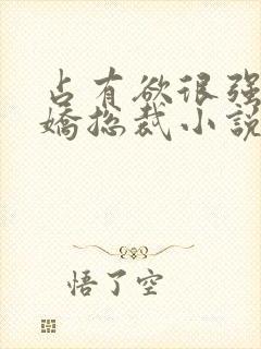 占有欲很强的病娇总裁小说