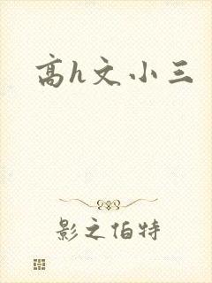 高h文小三
