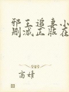 邪王追妻小说无删减正版在线阅读