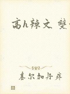 高h辣文 双性封面