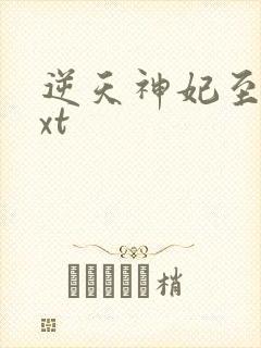 逆天神妃至上txt