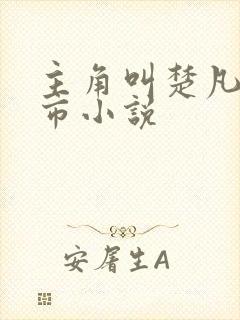 主角叫楚凡的都市小说