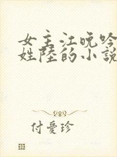 女主江晚吟男主姓陆的小说